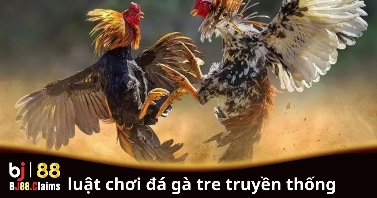 Luật Chơi Đá Gà Tre Truyền Thống: Hướng Dẫn Chi Tiết